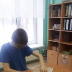 Фотодокумент 10178