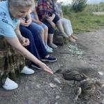 Прогулка на берег Вуоксы