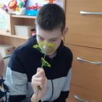 Занятие «Зелёная аптека»