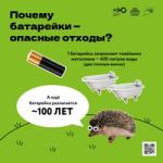 Урок экологии 2: батарейки