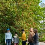 Фотодокумент 14231