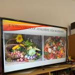 Фотодокумент 14363