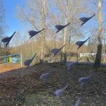 Фотодокумент 14440