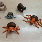 О паукообразных