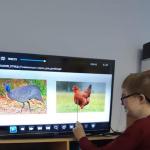 Фотодокумент 14480