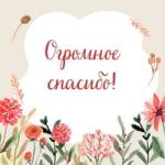 Благодарность НПАО «СВЕТОТЕХСЕРВИС» Благодарность НПАО «СВЕТОТЕХСЕРВИС»