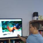 Фотодокумент 14481