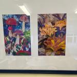 Фотодокумент 14516 Фотодокумент 14516