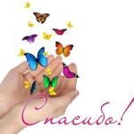 Фотодокумент 14741