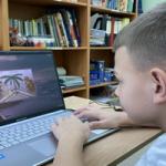 Работа с комплексом «Эффектон студио»