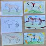 Фотодокумент 14830