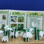 Фотодокумент 15085