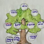 Фотодокумент 15114