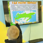 День берёзы