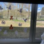 Фотодокумент 15238 Фотодокумент 15238