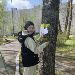 Фотодокумент 15271