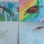 Занятие по рисованию морских черепашек