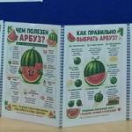 День арбуза