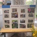 Выставка «Ветеранское подворье»