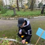 Фотодокумент 15786